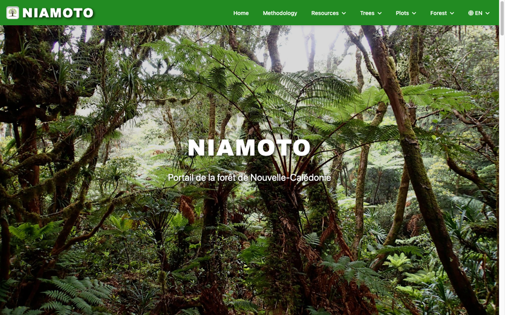 Published portal home page